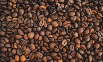 exporting coffee from Uganda
