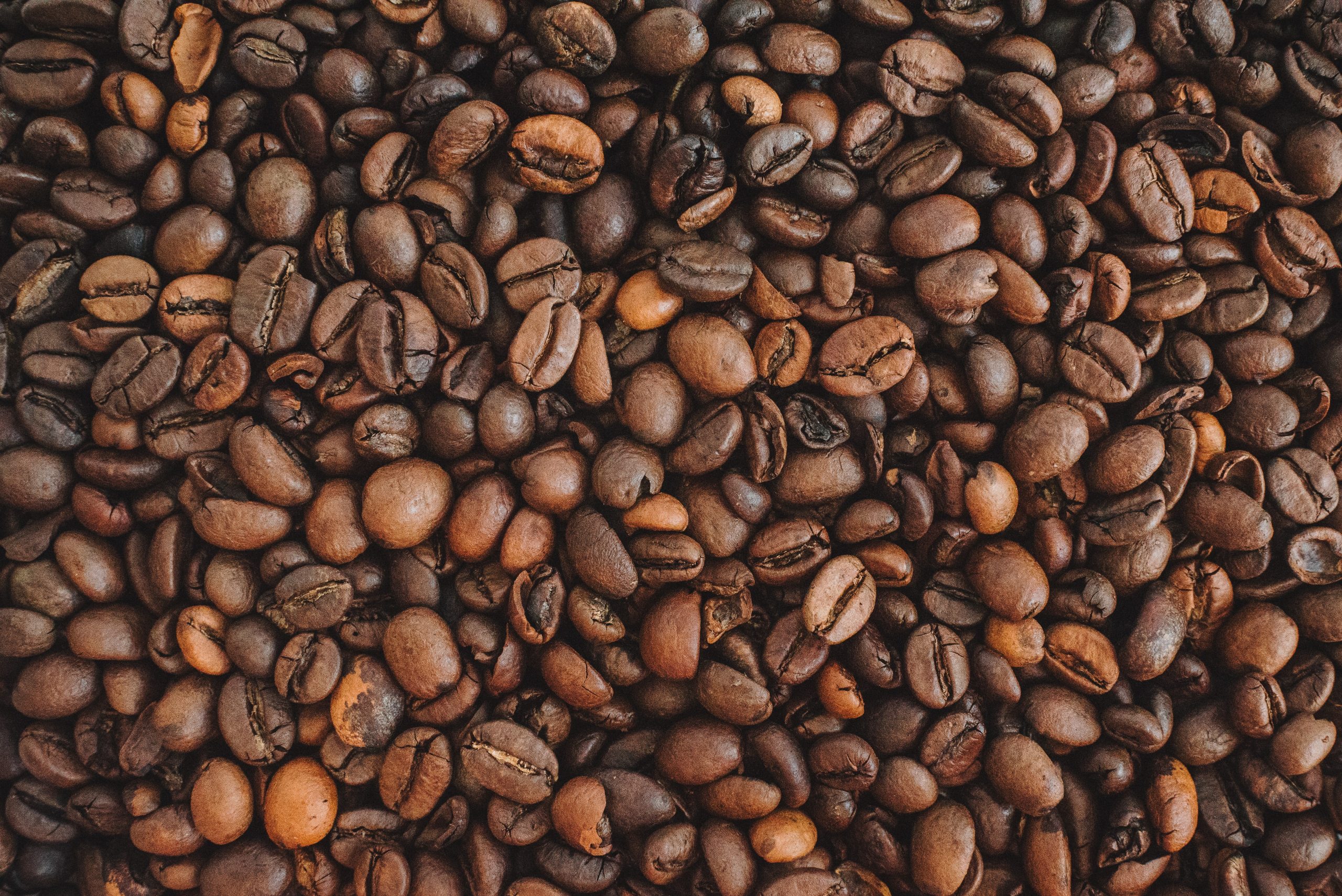 exporting coffee from Uganda