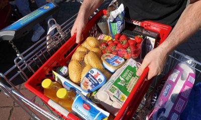 consumer confidence index Germany