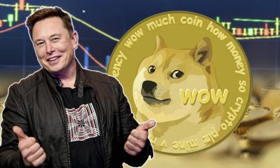 is dogecoin a good investment