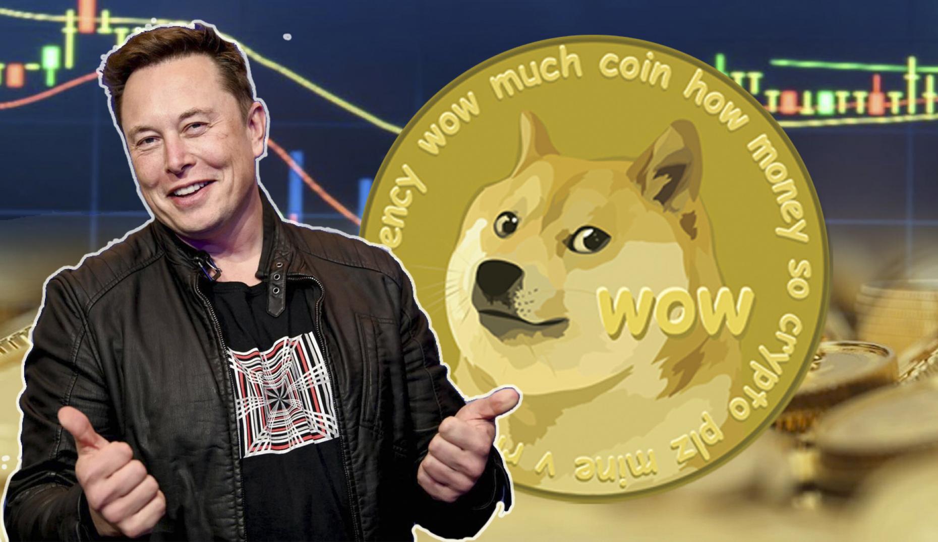 is dogecoin a good investment