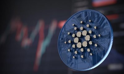cardano after vasil hard fork