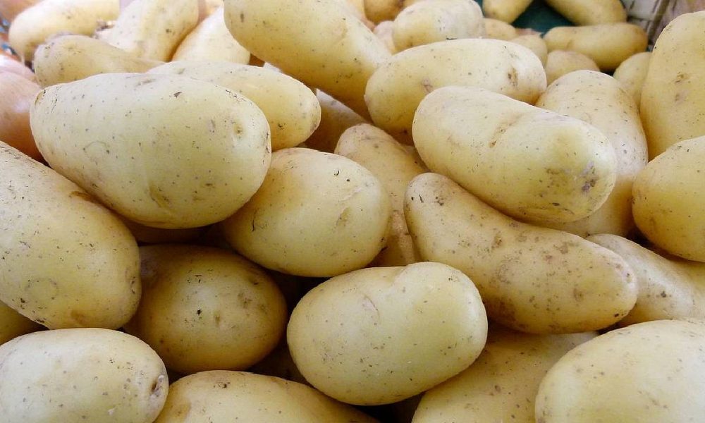 Why are potato prices so high? Experts predict rise in prices of French