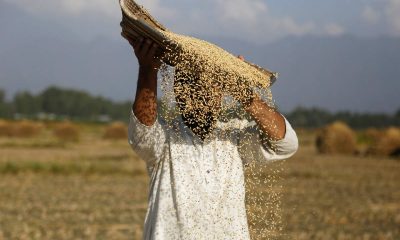 why worldwide food prices are rising