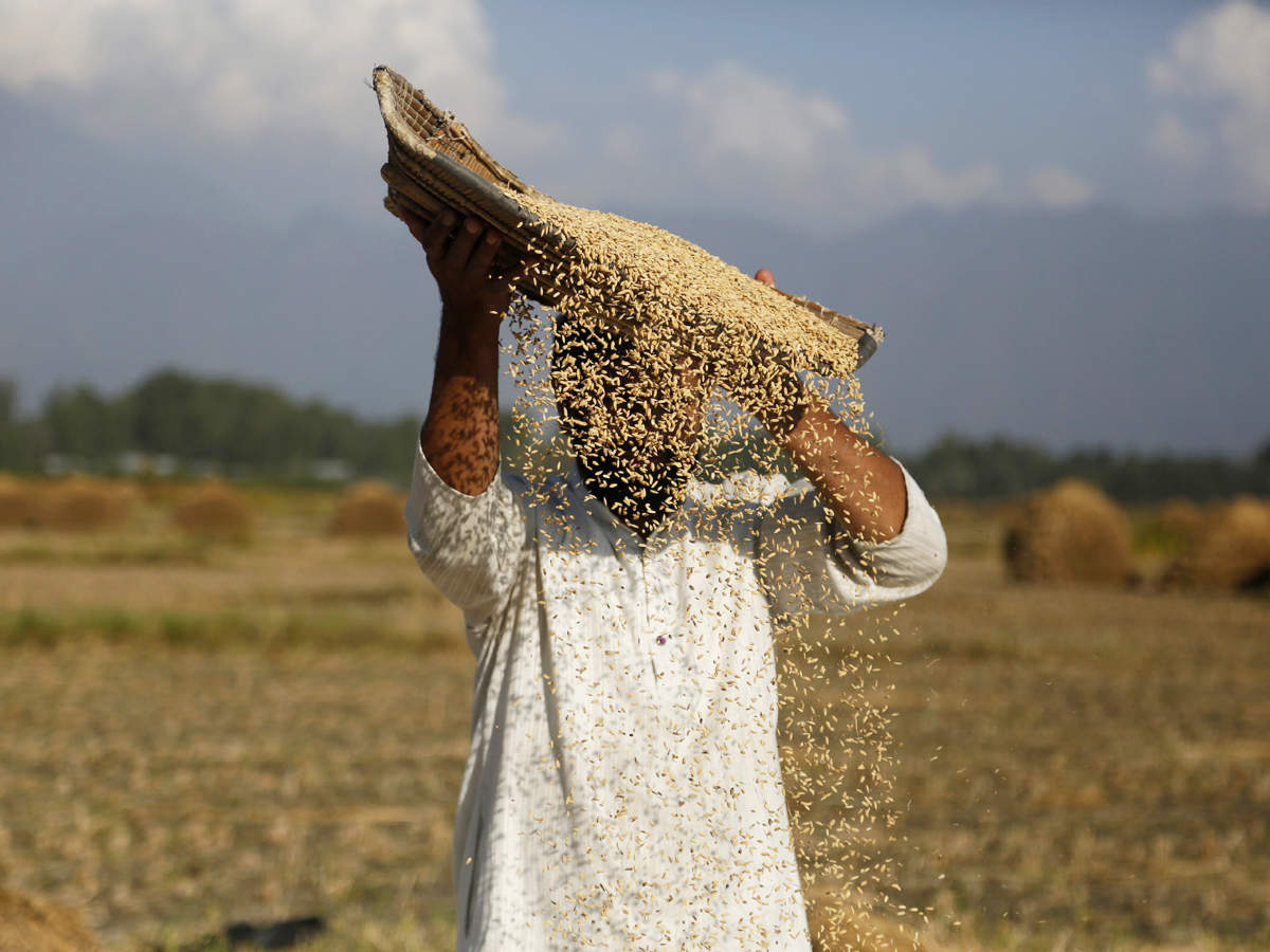 why worldwide food prices are rising