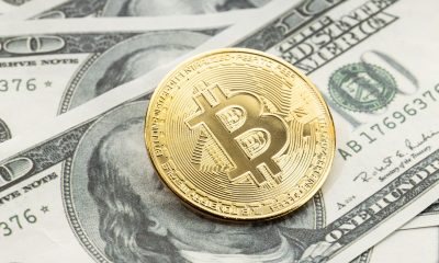 cryptocurrency versus dollar