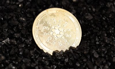 Vasil Cardano update