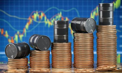 all nutrition energy shock