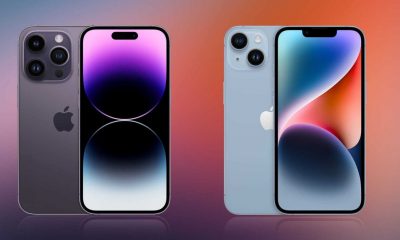 iphone 14 plus production cut