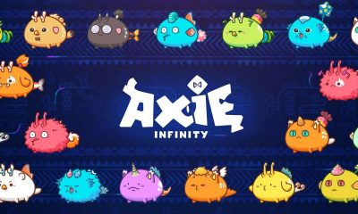 axie infinity business model