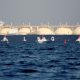 reselling LNG from the US to Europe companies