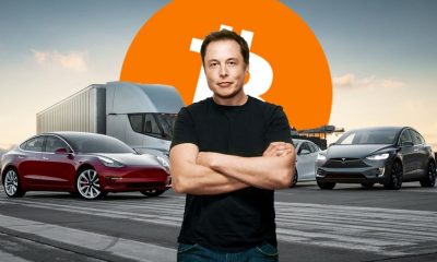 A long crypto winter