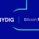 nydig bitcoin fund
