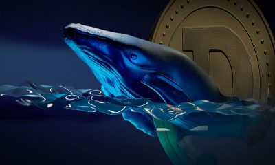 big whale dogecoin
