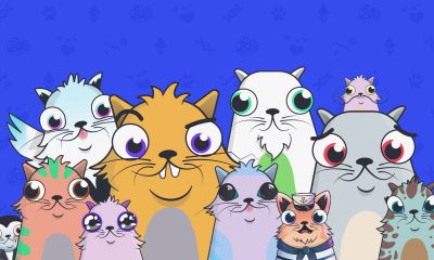 cryptokitties price
