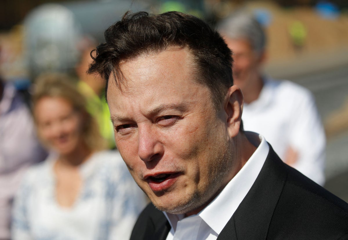 tesla stock cost