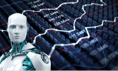 fraud of an arbitrage cryptobot