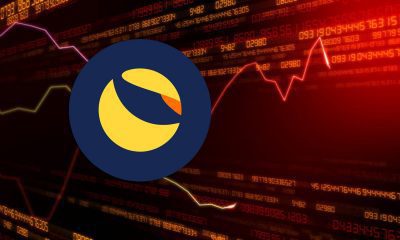 why did Terra collapse