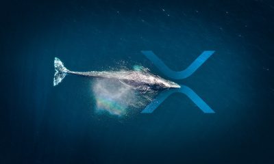 Ripple whales