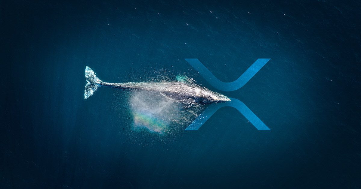 Ripple whales