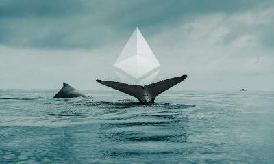 top Ethereum whales