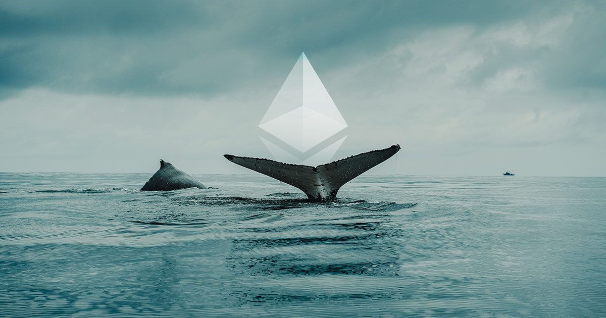 top Ethereum whales