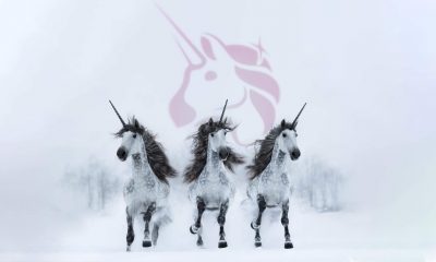 Uniswap price prediction