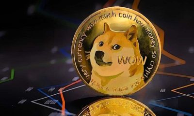 Dogecoin dev fund