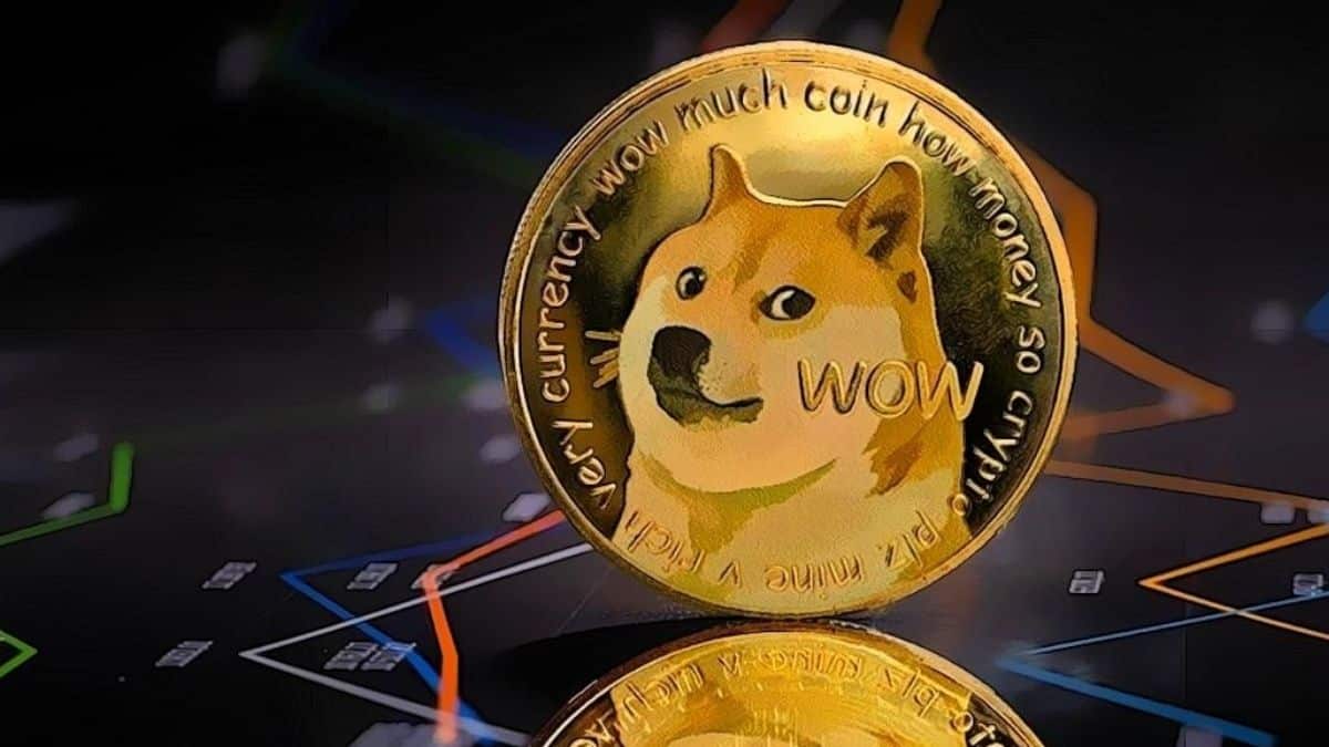 Dogecoin dev fund