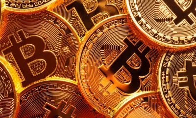 why has bitcoin grown so much