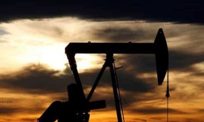 UAE will crash oil prices