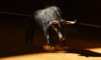 A bull market for Bitcoin