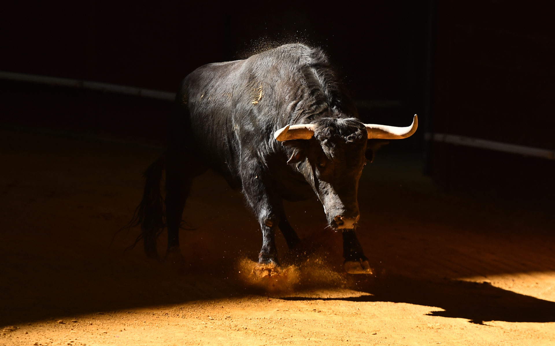 A bull market for Bitcoin