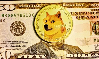 DOGE rate hikes