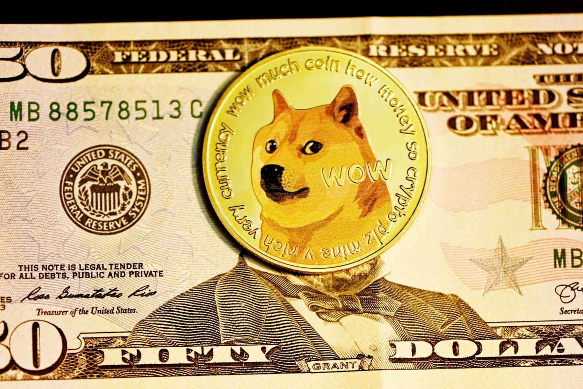 DOGE rate hikes