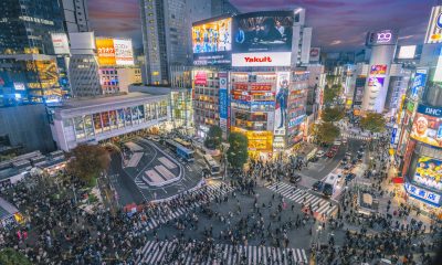growth of the Japanese stock market
