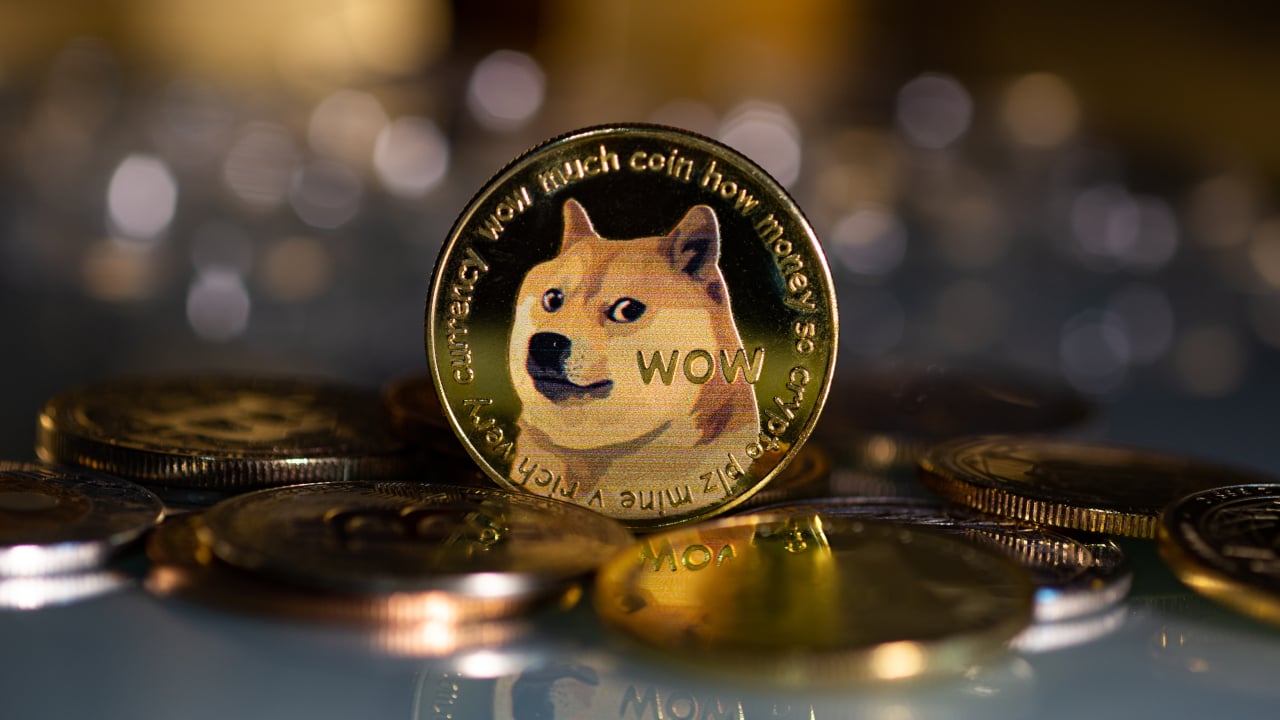 interest in DOGE