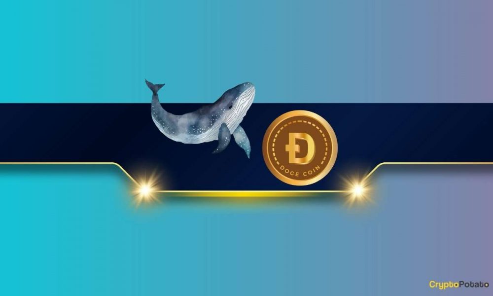 Dogecoin Nears $0.20 Amid Increased Whale Activity: Can the
DOGE Price Rally Even More?