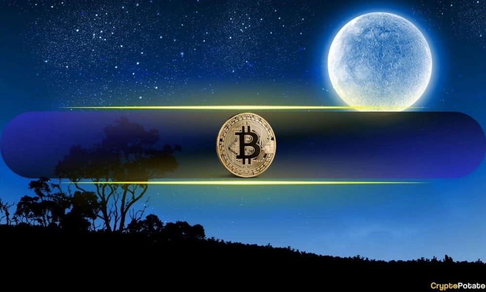 Bitcoin Could Skyrocket to $650K If This Happens, According
to Willy Woo