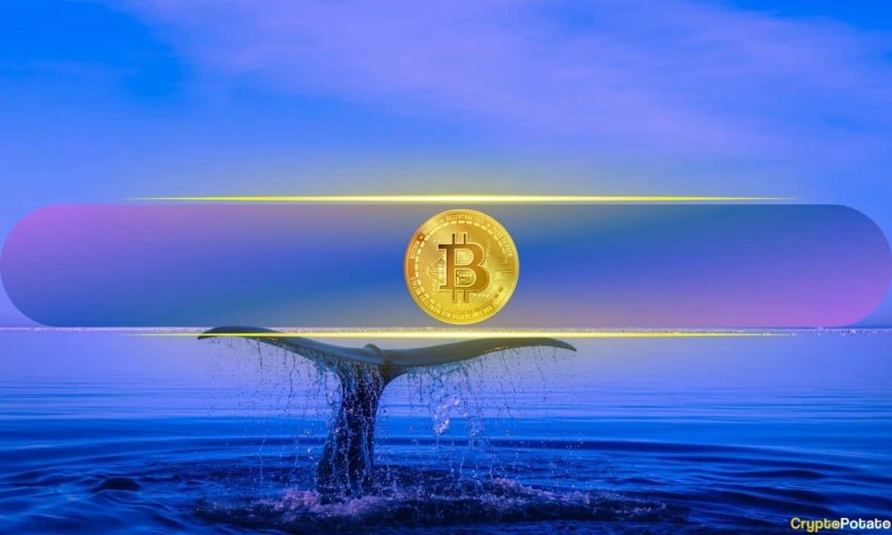 Bitcoin Drops 10% Weekly But Big Players Stay in the
Game