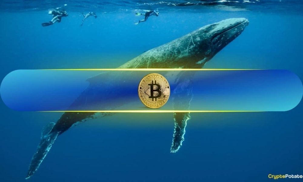 Exchange Inflow Surge: Are Bitcoin Whales Taking
Profits?