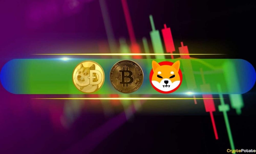 DOGE, SHIB, PEPE Among Top Performers Daily, BTC Rises to
$63K (Weekend Watch)