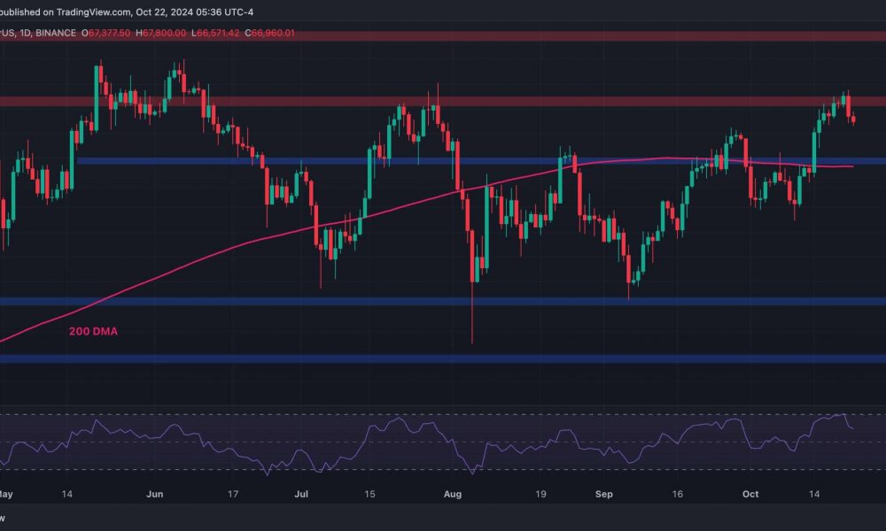 Bitcoin Price Analysis: What Are BTC’s Chances for New ATH
After the Rejection at $69K?