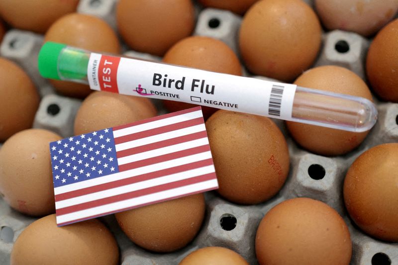 US CDC confirms H5N1 bird flu in a child in
California