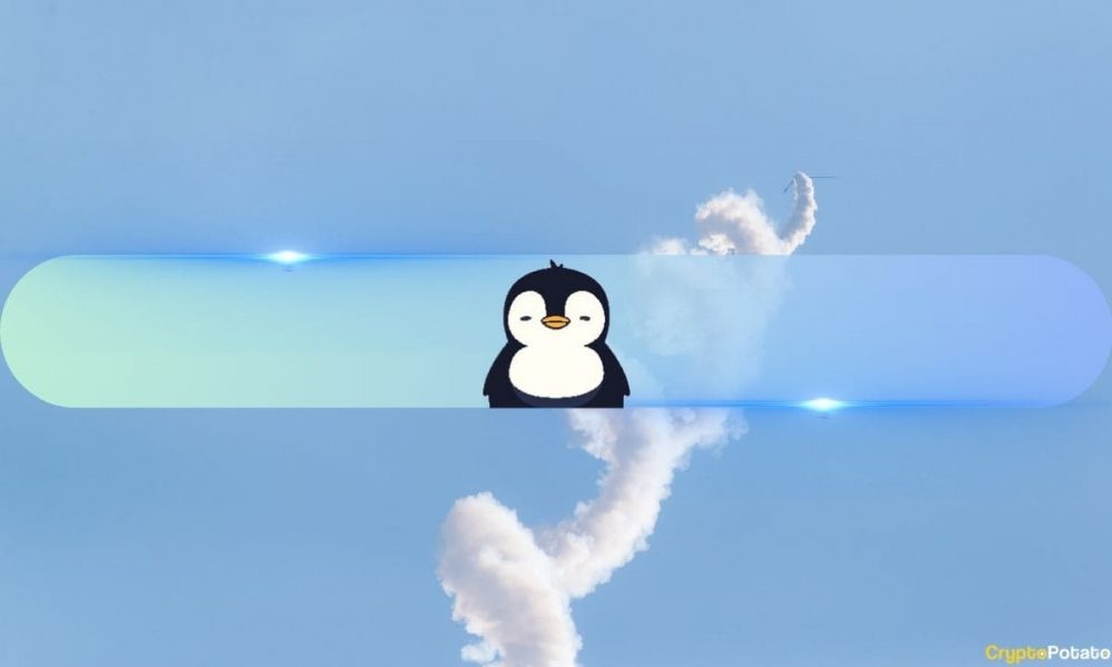 PENGU Overtakes BONK, Becomes Top Meme Coin on Solana at
$2.6B Valuation