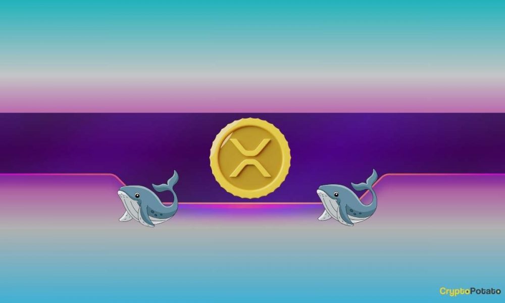 Ripple, Dogecoin Whales Bought the Dip as XRP, DOGE Prices
Soar