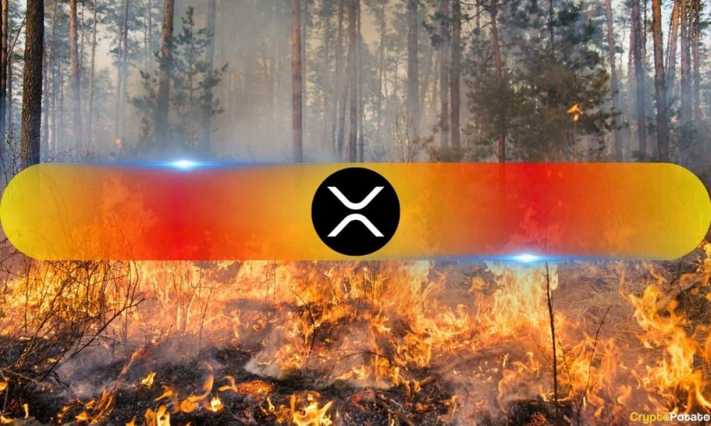 Ripple Donates $100K in XRP for California Wildfire Relief
Efforts