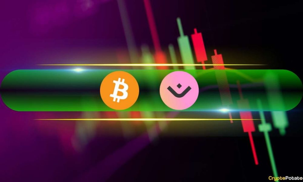 BTC Price Settles Above $96K, Mantra (OM) Explodes 12% Daily
(Weekend Watch)