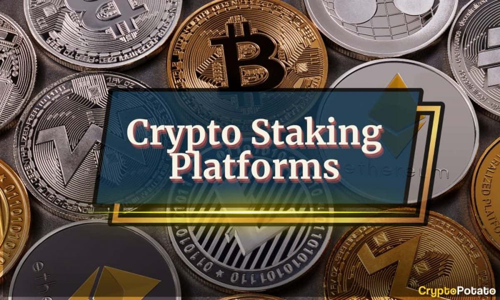 The 5 Best Crypto Staking Platforms in 2025: Everything You
Need to Know