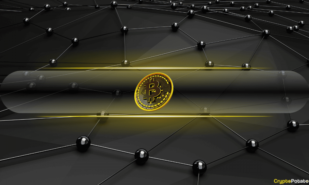 Trump’s Crypto Advisor Says There’s A ‘Space Race’ to Build
a Bitcoin Reserve